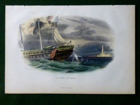 Ancienne gravure couleurs la pêche du requin Édouard Traviès Histoire Naturelle de Lacépède 1848 histoire naturelle animaux zoologie Ancienne gravure couleurs la pêche du requin Édouard Traviès Histoire Naturelle de Lacépède 1848 histoire naturelle animaux zoologie