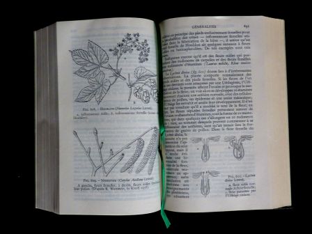 Pléiade Botanique NRF Gallimard 1960 collection encyclopédie de la Pléiade René 10ème volume Fernand Moreau sciences végétaux plantes nature, jan 2014 Pléiade Botanique NRF Gallimard 1960 collection encyclopédie de la Pléiade René 10ème volume Fernand Moreau sciences végétaux plantes nature