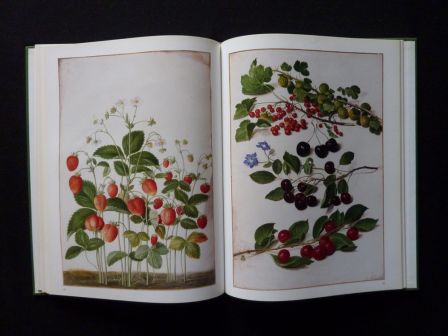 Le florilège de Nassau-Idstein Johann Walter Laure Beaumont-Maillet éditions Anthèse botanique ornithologie jardins histoire naturelle Le florilège de Nassau-Idstein Johann Walter Laure Beaumont-Maillet éditions Anthèse botanique ornithologie jardins histoire naturelle