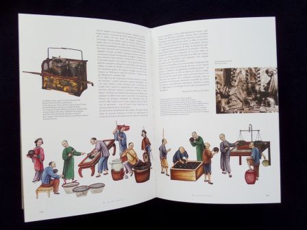L’herbier du monde cinq siècles d’aventures et de passions botaniques au Muséum National d’Histoire Naturelle Éditions du Muséum année 2004 botanique planches couleurs L’herbier du monde cinq siècles d’aventures et de passions botaniques au Muséum National d’Histoire Naturelle Éditions du Muséum année 2004 botanique planches couleurs