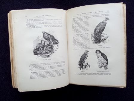 La chasse moderne encyclopédie du chasseur Larousse livre ancien illustré cartes gravures cynégétique La chasse moderne encyclopédie du chasseur Larousse livre ancien illustré cartes gravures cynégétique