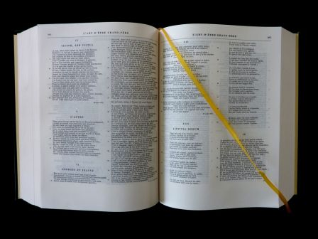 Victor Hugo œuvres poétiques complètes texte intégral éditions de la Fontaine au Roy littérature poésie Victor Hugo œuvres poétiques complètes texte intégral éditions de la Fontaine au Roy littérature poésie