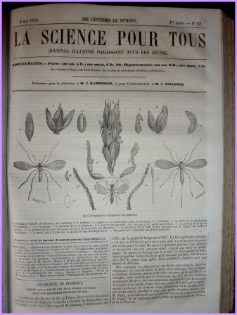 La science pour tous année 1856 journal illustré astronomie botanique géographie industrie médecine zoologie techniques, sep 2013 La science pour tous année 1856 journal illustré astronomie botanique géographie industrie médecine zoologie techniques