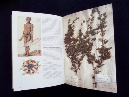 L’herbier du monde cinq siècles d’aventures et de passions botaniques au Muséum National d’Histoire Naturelle Éditions du Muséum année 2004 botanique planches couleurs L’herbier du monde cinq siècles d’aventures et de passions botaniques au Muséum National d’Histoire Naturelle Éditions du Muséum année 2004 botanique planches couleurs