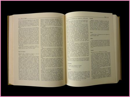 Encyclopédie Lichine des vins et alcools texte 3