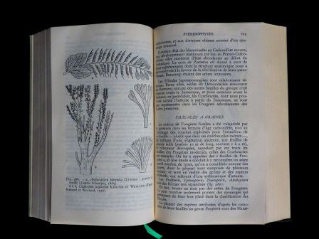 Pléiade Botanique NRF Gallimard 1960 collection encyclopédie de la Pléiade René 10ème volume Fernand Moreau sciences végétaux plantes nature, jan 2014 Pléiade Botanique NRF Gallimard 1960 collection encyclopédie de la Pléiade René 10ème volume Fernand Moreau sciences végétaux plantes nature