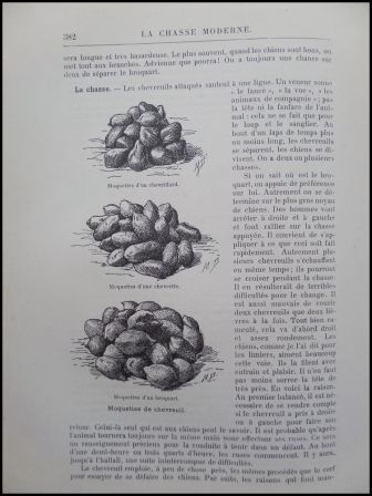 La chasse moderne encyclopédie du chasseur Larousse livre ancien illustré cartes gravures cynégétique La chasse moderne encyclopédie du chasseur Larousse livre ancien illustré cartes gravures cynégétique