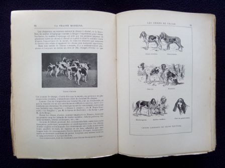 La chasse moderne encyclopédie du chasseur Larousse livre ancien illustré cartes gravures cynégétique La chasse moderne encyclopédie du chasseur Larousse livre ancien illustré cartes gravures cynégétique