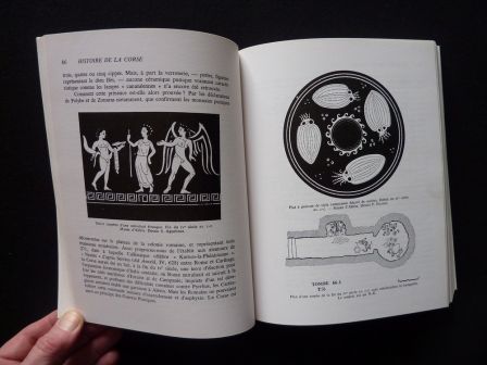 Histoire de la Corse Paul Arrighi Antoine Olivesi éditions Privat 1990 collection Univers de la France histoire régionalisme Méditerranée, fév 2014 Histoire de la Corse Paul Arrighi Antoine Olivesi éditions Privat 1990 collection Univers de la France histoire régionalisme Méditerranée