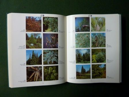 2000 fleurs plantes et arbustes en couleur Roy Hay Patrick M. Synge ditions des deux coqs dor 1971 horticulture arboriculture botanique dictionnaire nature jardins