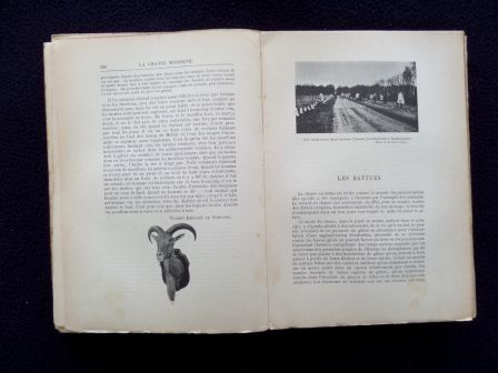 La chasse moderne encyclopédie du chasseur Larousse livre ancien illustré cartes gravures cynégétique La chasse moderne encyclopédie du chasseur Larousse livre ancien illustré cartes gravures cynégétique