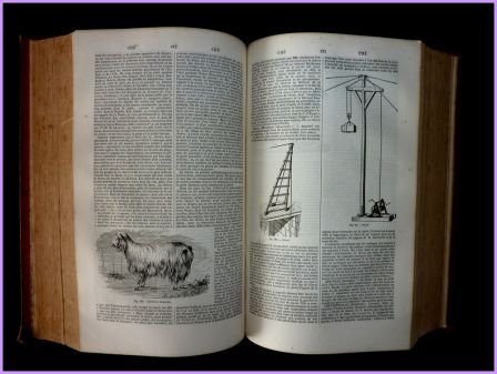 Dictionnaire général des sciences théoriques et appliquées 2 tomes Privat-Deschanel et Focillon édition Garnier 1864