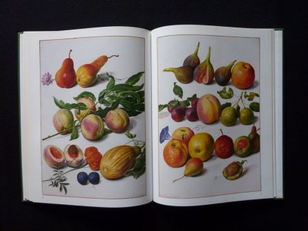 Le florilège de Nassau-Idstein Johann Walter Laure Beaumont-Maillet éditions Anthèse botanique ornithologie jardins histoire naturelle Le florilège de Nassau-Idstein Johann Walter Laure Beaumont-Maillet éditions Anthèse botanique ornithologie jardins histoire naturelle