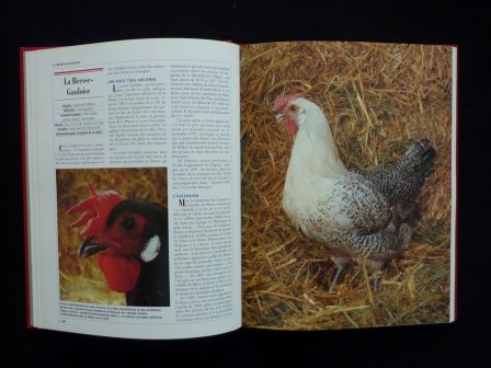 Le grand livre des volailles de France races anciennes rares disparues ou actuelles Périquet Rustica aviculture animaux