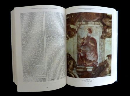 Le dictionnaire de la peinture la peinture occidentale du moyen-ge  nos jours éditions Larousse Pierre Laclotte Jean-Pierre Cuzin