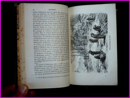 Les forêts Lesbazeilles éditions Hachette 1884 collection bibliothèque des merveilles Édouard Charton 43 vignettes sylviculture botanique