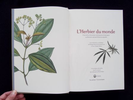 L’herbier du monde cinq siècles d’aventures et de passions botaniques au Muséum National d’Histoire Naturelle Éditions du Muséum année 2004 botanique planches couleurs L’herbier du monde cinq siècles d’aventures et de passions botaniques au Muséum National d’Histoire Naturelle Éditions du Muséum année 2004 botanique planches couleurs