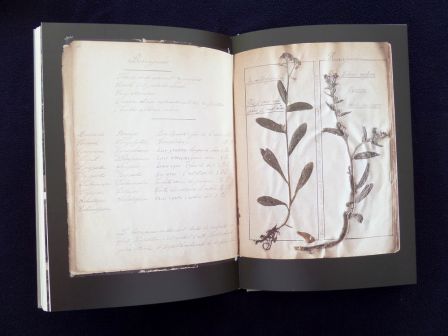 L’herbier du monde cinq siècles d’aventures et de passions botaniques au Muséum National d’Histoire Naturelle Éditions du Muséum année 2004 botanique planches couleurs L’herbier du monde cinq siècles d’aventures et de passions botaniques au Muséum National d’Histoire Naturelle Éditions du Muséum année 2004 botanique planches couleurs
