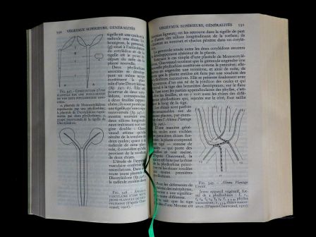 Pléiade Botanique NRF Gallimard 1960 collection encyclopédie de la Pléiade René 10ème volume Fernand Moreau sciences végétaux plantes nature, jan 2014 Pléiade Botanique NRF Gallimard 1960 collection encyclopédie de la Pléiade René 10ème volume Fernand Moreau sciences végétaux plantes nature