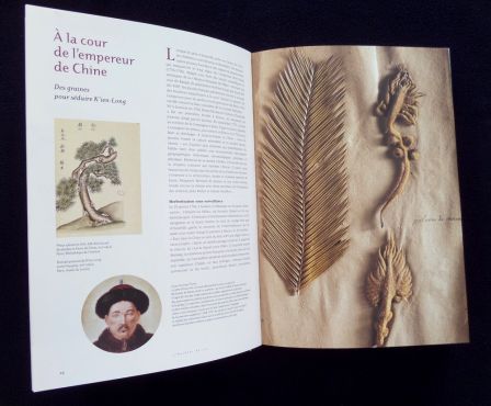 L’herbier du monde cinq siècles d’aventures et de passions botaniques au Muséum National d’Histoire Naturelle Éditions du Muséum année 2004 botanique planches couleurs L’herbier du monde cinq siècles d’aventures et de passions botaniques au Muséum National d’Histoire Naturelle Éditions du Muséum année 2004 botanique planches couleurs