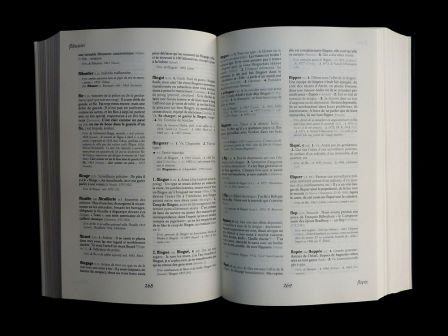 Dictionnaire de l’argot Larousse 1990 Jean-Paul Colin Jean-Pierre Mével Christian Leclère préface d’Alphonse Boudard langue linguistique Dictionnaire de l’argot Larousse 1990 Jean-Paul Colin Jean-Pierre Mével Christian Leclère préface d’Alphonse Boudard langue linguistique