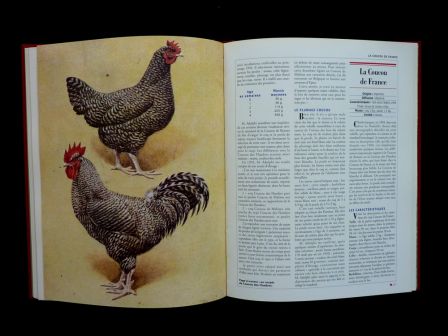 Le grand livre des volailles de France races anciennes rares disparues ou actuelles Priquet Rustica aviculture animaux