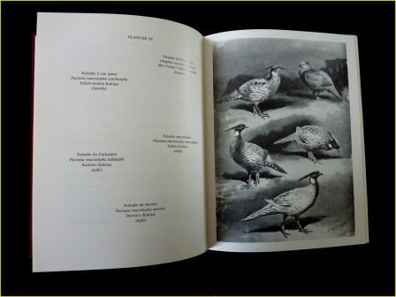 Tous les faisans du monde Jean Delacour éditions de l’Orée 1983 zoologie chasse