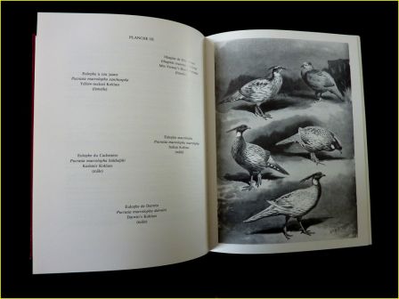 Tous les faisans du monde Jean Delacour éditions de lOrée 1983 zoologie chasse