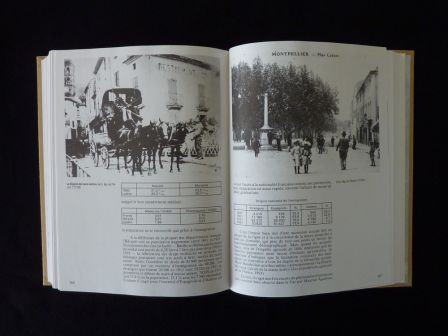 L'Hérault de la préhistoire à nos jours Gérard Cholvy éditions Bordessoules 1993 histoire régionalisme Languedoc Roussillon Montpellier L'Hérault de la préhistoire à nos jours Gérard Cholvy éditions Bordessoules 1993 histoire régionalisme Languedoc Roussillon Montpellier