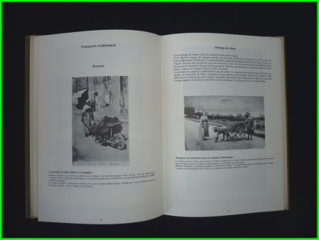 Val et forêt à l’aube du siècle les cantons de Châteauneuf et de Jargeau à travers la carte postale Hervé Finous Gaston Pouillot régionalisme, aoû 2013 Val et forêt à l’aube du siècle les cantons de Châteauneuf et de Jargeau à travers la carte postale Hervé Finous Gaston Pouillot régionalisme