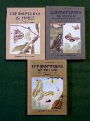 Zoologie Lépidoptères de France Belgique Suisse Italie Boubée nouvel atlas d’entomologie histoire naturelle papillons insectes nature