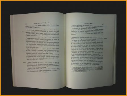 Histoire de la maison des Baux Gustave Noblemaire éditions Laffitte Reprints 1976 tirage 250 exemplaires noblesse de Provence