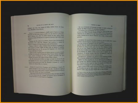 Histoire de la maison des Baux Gustave Noblemaire ditions Laffitte Reprints 1976 tirage 250 exemplaires noblesse de Provence