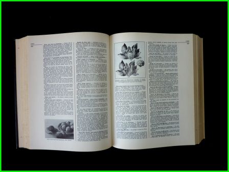 Nouveau Larousse gastronomique ditions Larousse 1967 Prosper Montagn Robert J. Courtine cuisine recettes culinaires