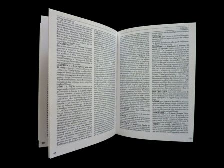 Dictionnaire de marine à voiles Pâris de Bonnefoux mer bateaux navires marins voiliers Dictionnaire de marine à voiles Pâris de Bonnefoux mer bateaux navires marins voiliers