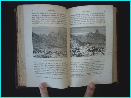 Les forêts Lesbazeilles éditions Hachette 1884 collection bibliothèque des merveilles Édouard Charton 43 vignettes sylviculture botanique