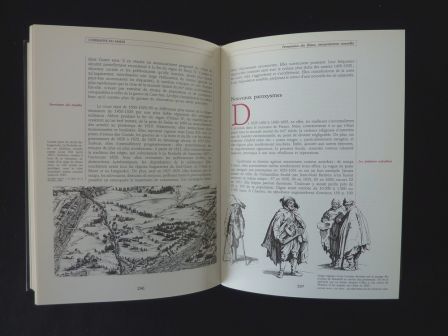 Jean Delumeau Yves Lequin les malheurs des temps histoire des flaux et des calamits en France Larousse collection mentalits vcus et reprsentations