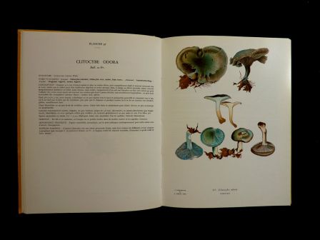 Nouvel atlas des champignons tome 2 Henri Romagnesi Bordas 1970 mycologie sciences botanique