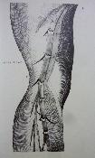 Jérôme Fabrice d’Acquapendente De venarum ostiolis éditions Pariente médecine Moyen Âge sang veines anatomie