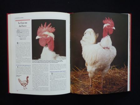 Le grand livre des volailles de France races anciennes rares disparues ou actuelles Priquet Rustica aviculture animaux