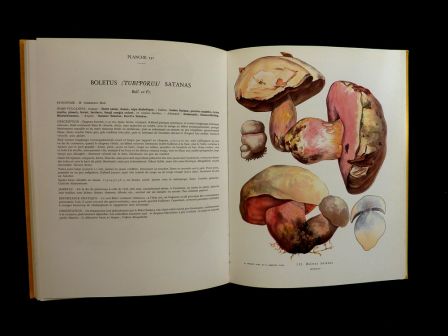 Nouvel atlas des champignons tome 2 Henri Romagnesi Bordas 1970 mycologie sciences botanique