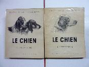 Joseph Oberthur Le chien ses origines son évolution dessins de Salaberry canidés animaux zoologie cynégétique chasse races histoire naturelle 