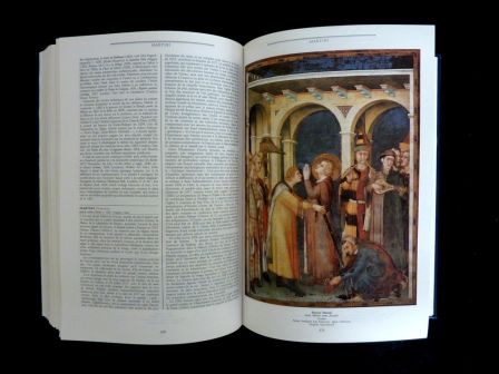 Le dictionnaire de la peinture la peinture occidentale du moyen-âge à nos jours éditions Larousse Pierre Laclotte Jean-Pierre Cuzin Le dictionnaire de la peinture la peinture occidentale du moyen-âge à nos jours éditions Larousse Pierre Laclotte Jean-Pierre Cuzin