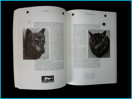 Nos derniers loups illustrations, juin 2013 Nos derniers loups illustrations