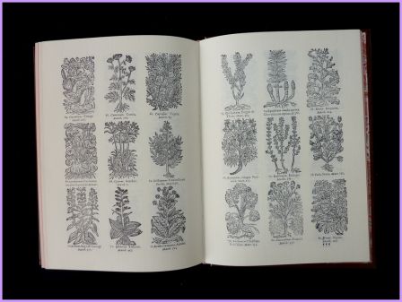 Cours de mdecine Guyon Dolois illustrations