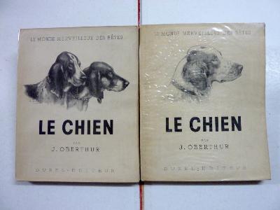 Joseph Oberthur Le chien ses origines son évolution dessins de Salaberry canidés animaux zoologie cynégétique chasse races histoire naturelle 