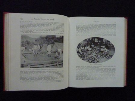 Les grandes cultures du monde leur histoire leur exploitation leurs diffrents usages Van Someren Brand Flammarion histoire naturelle populaire riz vigne froment cacao caf th quinquina tabac sucre mas