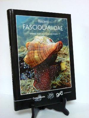 Recent Fasciolariidae Daniel Mallard Alain Robin inventaire zoologique