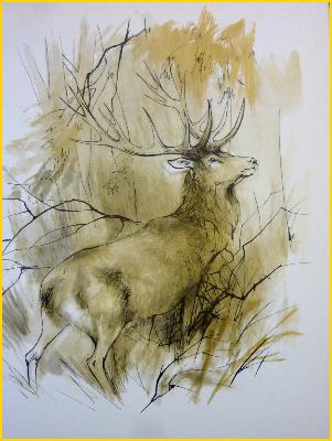 1969 Delagrave La forêt perdue Maurice Genevoix illustrations Paul Durand littérature nature animaux roman collection littéraire 