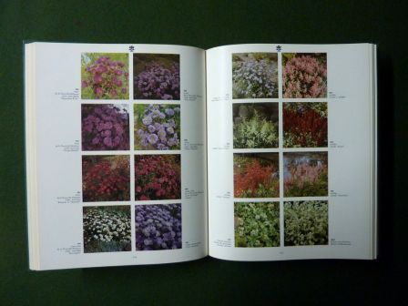 2000 fleurs plantes et arbustes en couleur Roy Hay Patrick M. Synge ditions des deux coqs dor 1971 horticulture arboriculture botanique dictionnaire nature jardins